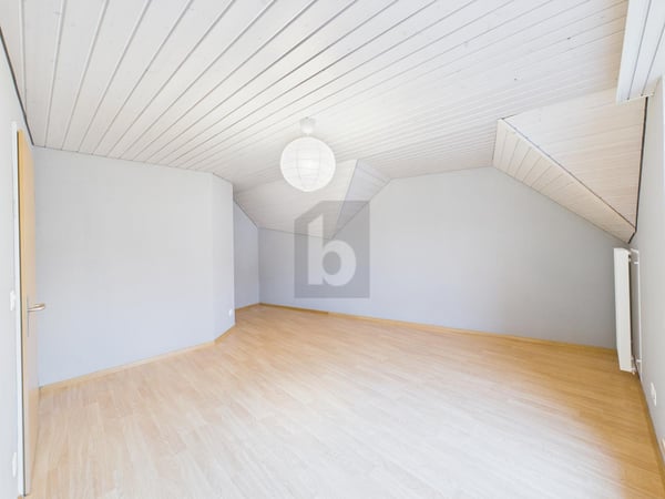 PREISHIT! VIEL PLATZ UND GIGANTISCHE RAUMHÖHE! 3
