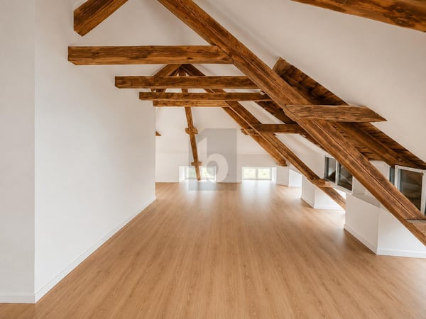EINZIGARTIGKEIT UND MODERN VEREINT 5