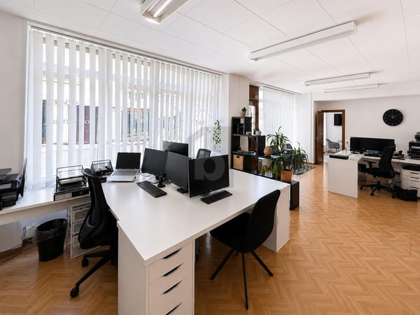 LUMINEUX, MODULABLE ET STRATÉGIQUEMENT SITUÉ 3