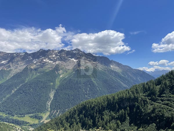 RUSTIKAL MIT HERRLICHEM PANORAMA 2