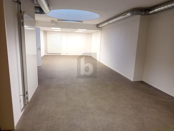 DYNAMIQUE, CONFORTABLE & CENTRAL 2