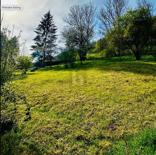 POTENTIEL AU CUR DE SONVILIER 1