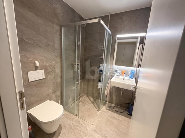 ÉLÉGANT, MODERNE ET MINERGIE 4