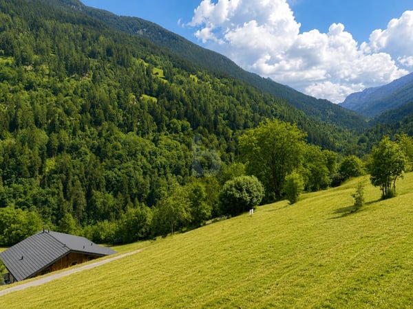 MAGNIFIQUE TERRAIN DANS UN CADRE NATUREL 3