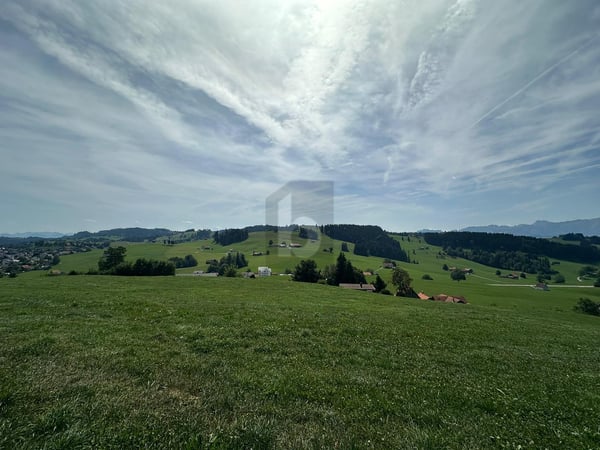 Vorschaubild der Immobilie