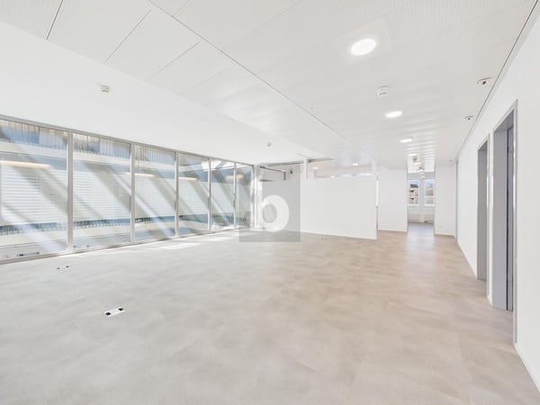 IDEAL FÜR IHR GROSSRAUM-PROJEKT 1