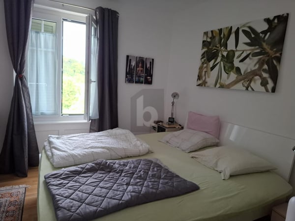 ESPACE ET VERDURE 5