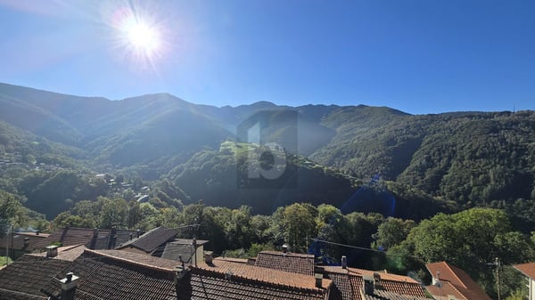 SOLEGGIATA CON GIARDINO 3