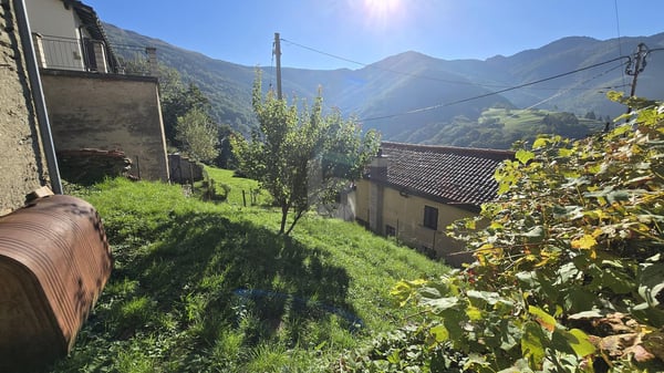 SOLEGGIATA CON GIARDINO 2