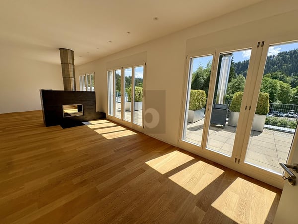 GROSSZÜGIG MIT TERRASSE UND SAUNA 2