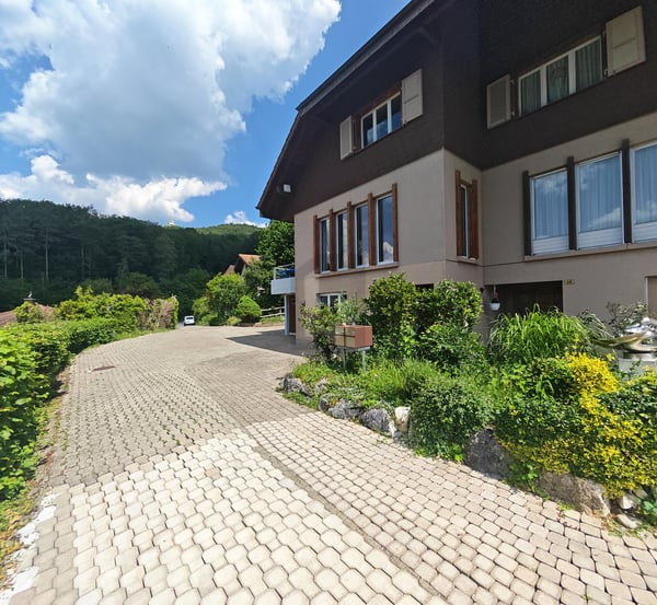 TRAUMAUSSICHT INS AARETAL 3