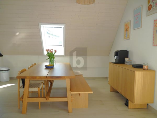 MODERNE, SPACIEUX, ET EN BORDURE DE NATURE ! 3