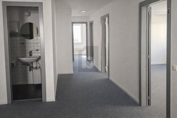 LUMINEUX, PRATIQUE ET CENTRAL 4