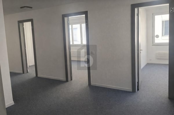 LUMINEUX, PRATIQUE ET CENTRAL 3