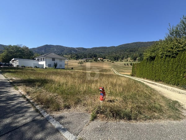 RUHE UND WEITBLICK AN DER NATURSSCHUTZZONE 3