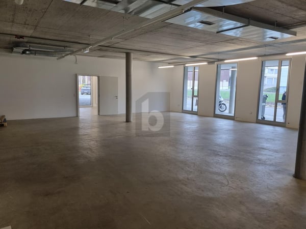 GRAND ESPACE, TRÈS BON EMPLACEMENT 2