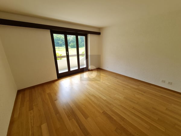 SPAZIOSO E SOLEGGIATO CON GIARDINO 5