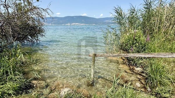 SELTENE GELEGENHEIT MIT SEEBLICK - 80 M ZUM WASSER 4