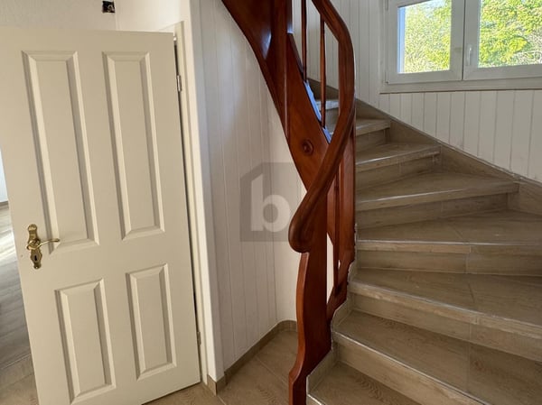 MODERN UND FRISCH RENOVIERT 5