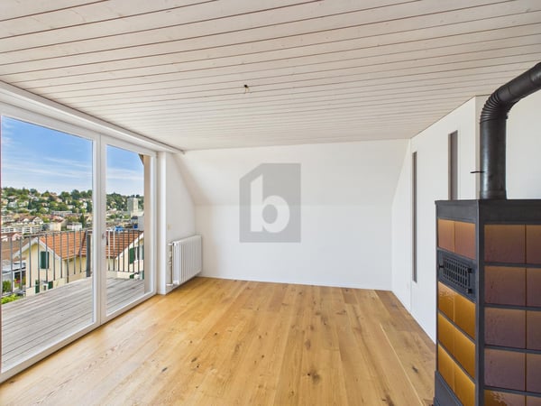 DACHTERRASSE UND BALKON AN ZENTRALER LAGE