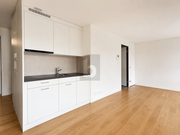 ARBEITEN NAHE ZÜRICHSEE 4