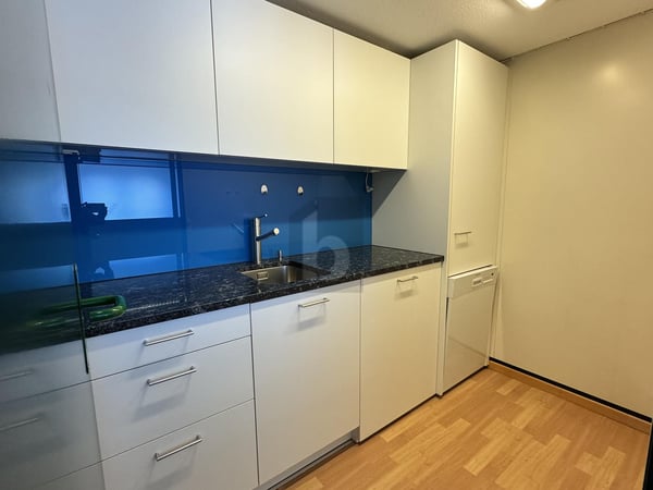 MODERN, LICHTDURCHFLUTET & FUNKTIONAL 2