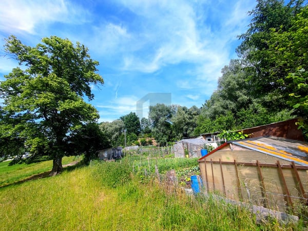 TERRAIN AGRICOLE AVEC SOURCE D'EAU PRIVÉE 1