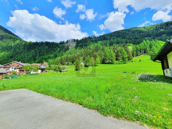 TERRAINS CONSTRUCTIBLES, AGRICOLES ET FORESTIERS 2