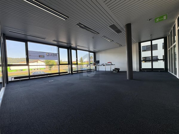 REPRÄSENTATIV MIT GLASFRONT 4