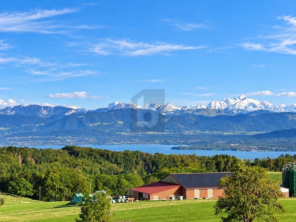 MAGNIFIQUE SPACIEUX ET VUE PANORAMIQUE SUR LE LAC