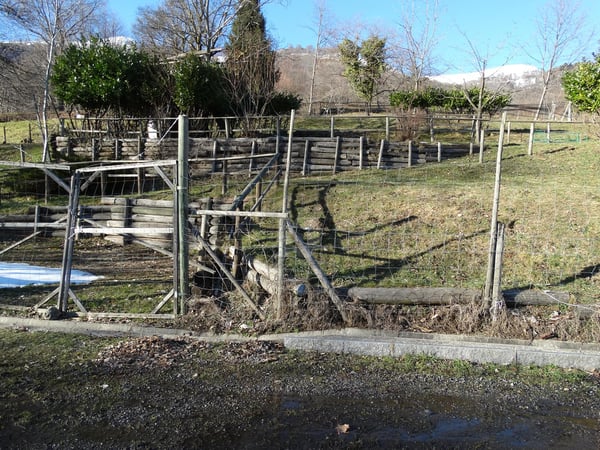 PRATO PER CAVALLI 3