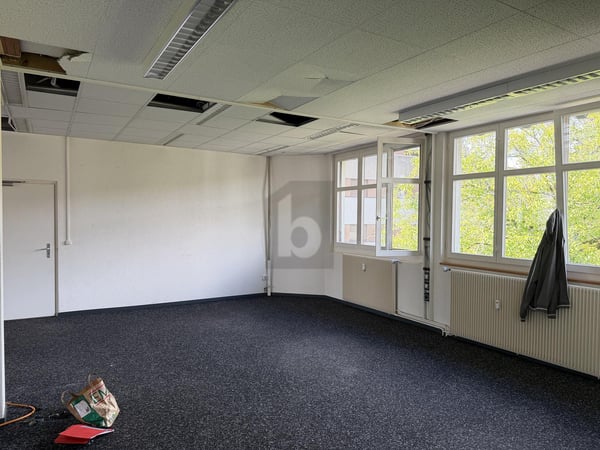 Preview image of the real estate
