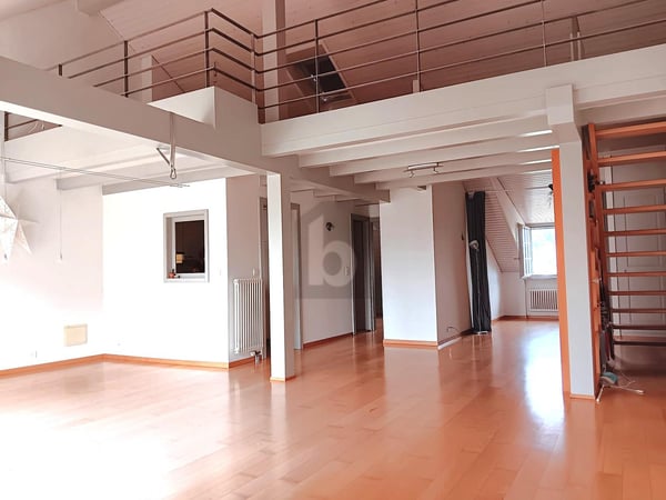 DUPLEX RARE ET UNIQUE ! 4