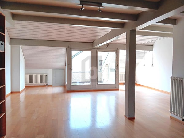 DUPLEX RARE ET UNIQUE ! 3