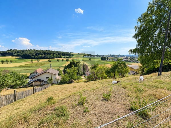 BAUPARADIES MIT PANORAMABLICK 2