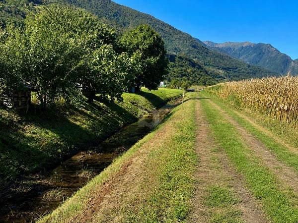 AMPIO IN POSIZIONE SOLEGGIATA E STRATEGICA 4