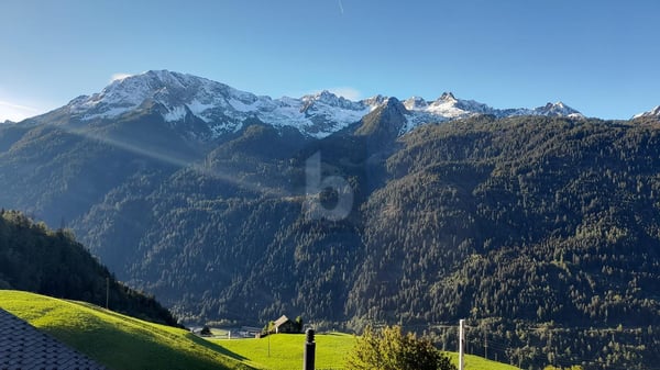 SPAZIOSA E SOLEGGIATA IN POSIZIONE TRANQUILLA 2