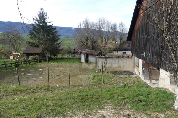 MAISON DE CAMPAGNE ( IDÉAL POUR ANIMAUX ) 2