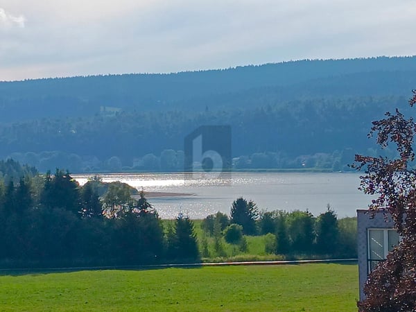 LUMINEUX, SPACIEUX, PROCHE DU LAC ! 2
