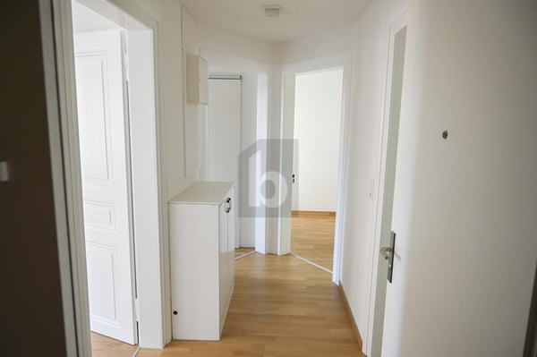 SANIERTER ALTBAU-CHARME MIT GROSSER SÜDTERRASSE 2