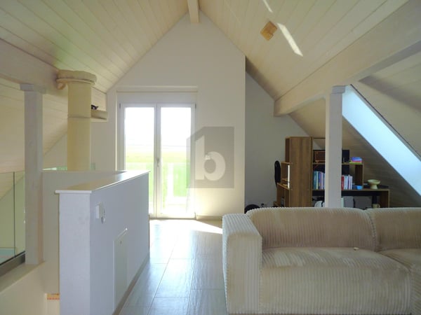 MODERNE, SPACIEUX, ET EN BORDURE DE NATURE ! 5