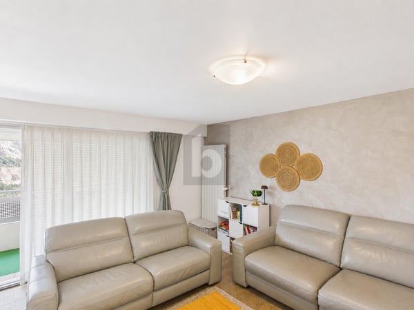 ATTIQUE AVEC BALCON ET GRENIER AMÉNAGEABLE 2