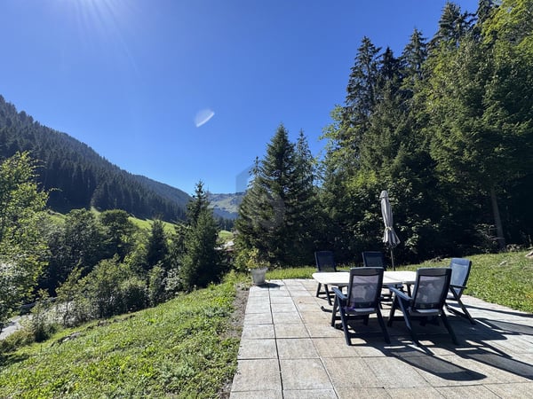 MAGNIFIQUE AVEC SAUNA 2