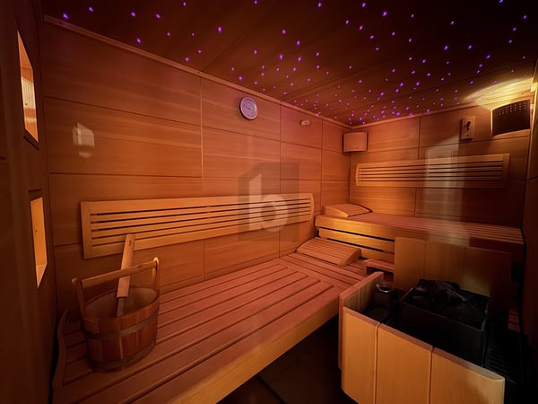MAGNIFIQUE AVEC SAUNA 5