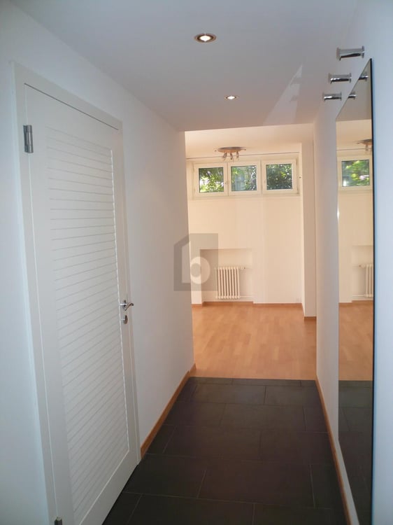 RUHIG AM ZÜRICHBERG: 20 M² SONNENTERRASSE 3