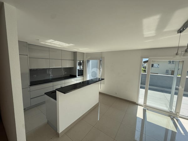 EXCEPTIONNEL AVEC UNE GRANDE TERRASSE 3