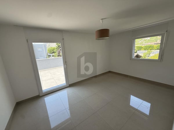 EXCEPTIONNEL AVEC UNE GRANDE TERRASSE 4