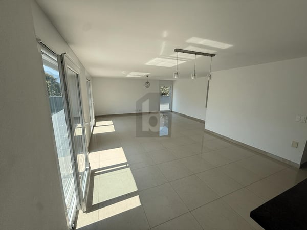 EXCEPTIONNEL AVEC UNE GRANDE TERRASSE 2