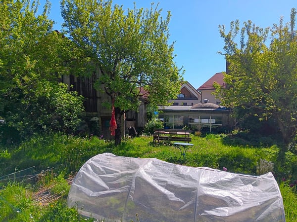 POTENTIEL POLYVALENT AU CUR DU VILLAGE 4