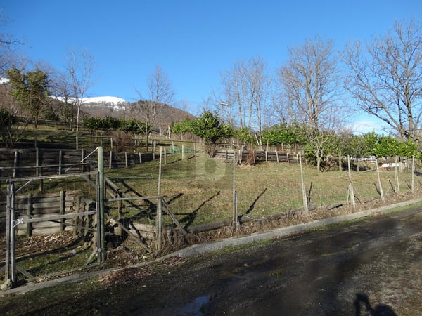 Immagine anteprima degli immobili